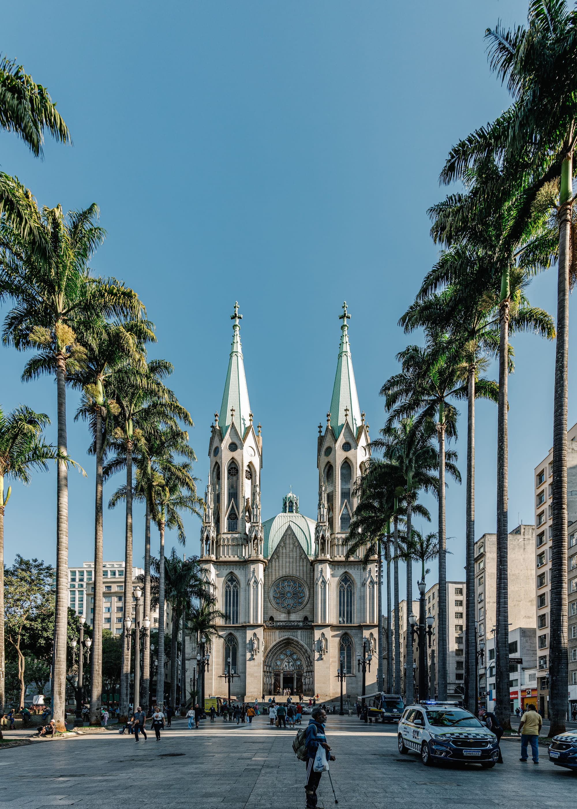 Catedral da Sé vista entre palmeiras imperiais, em contra-plongée